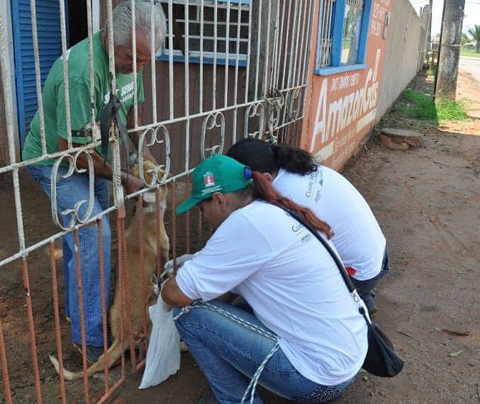 Campanha de vacinação estima atingir mais de 40 mil cães e gatos em Rio Branco 1 Campanha de vacinação estima atingir mais de 40 mil cães e gatos em Rio Branco