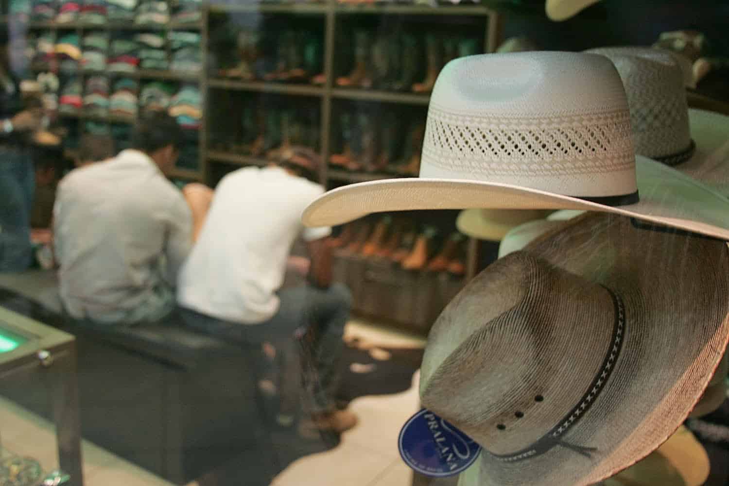 produtos exposição - OL (8)