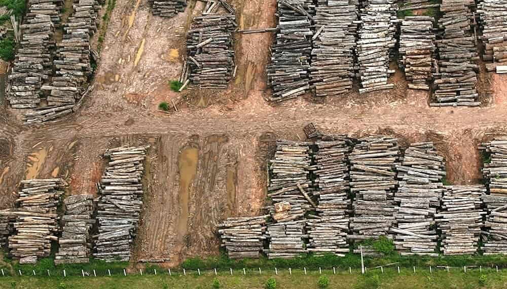 Acre registra aumento na taxa de desmatamento na região