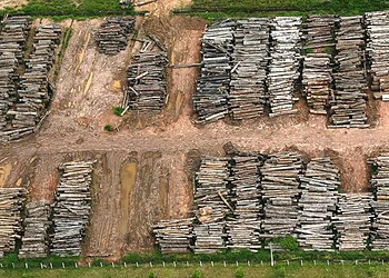 Acre registra aumento na taxa de desmatamento na região