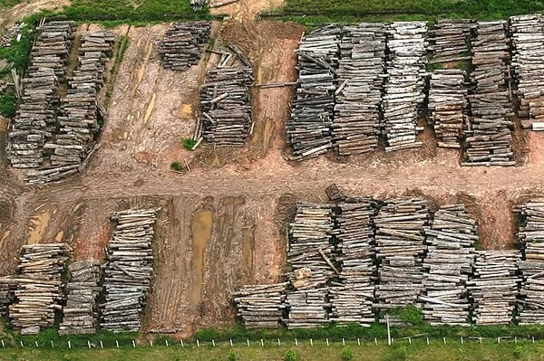 Acre registra aumento na taxa de desmatamento na região