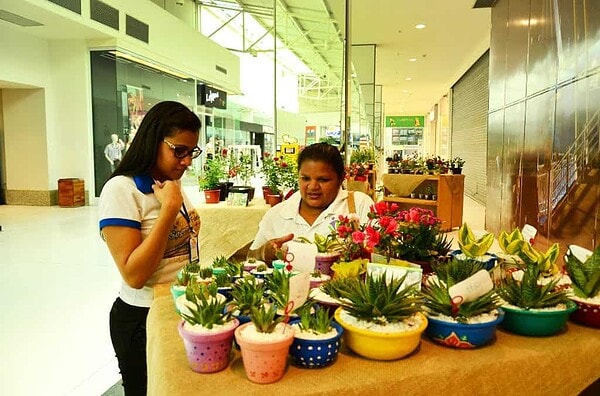 Feira de Flores e Plantas acontece de quinta a domingo no Via Verde Shopping