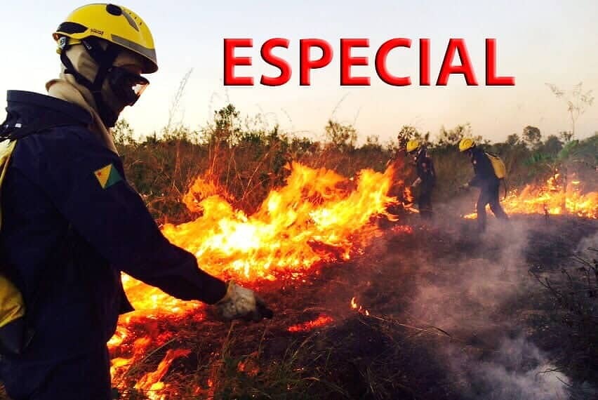 Rio Branco já registra o dobro de ocorrências de queimadas neste ano
