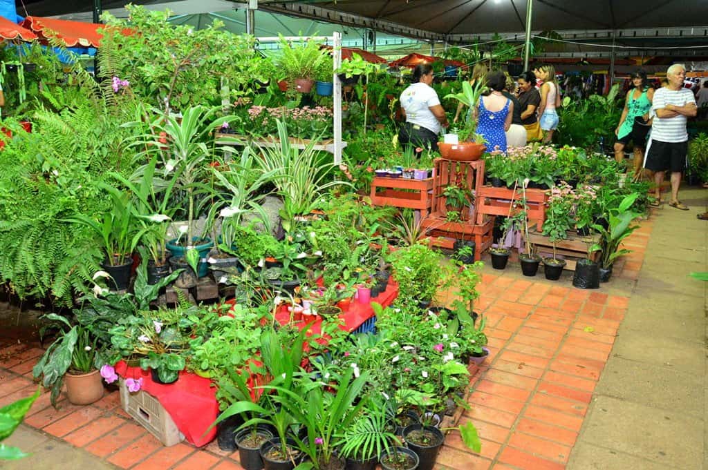 3 - Economia Solidaria, foto Adonay Melo 1 (4)