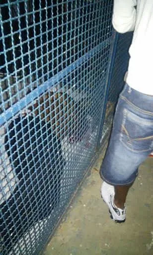 Agente penitenciário mata ex-presidiário em festa na AABB 1 Os 2 teriam brigado na festa