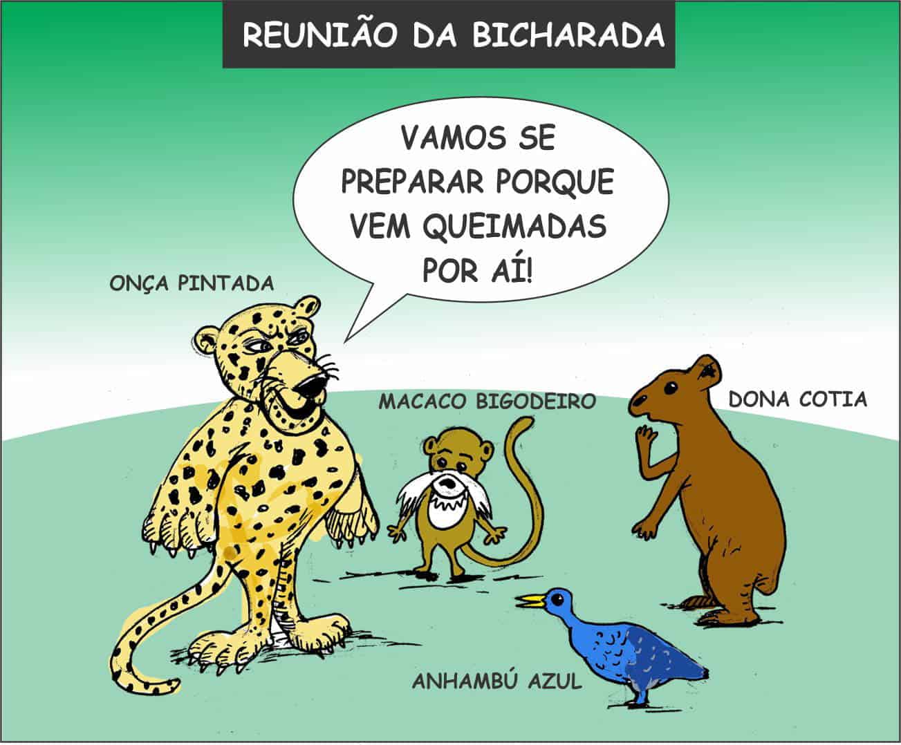 Charge onça