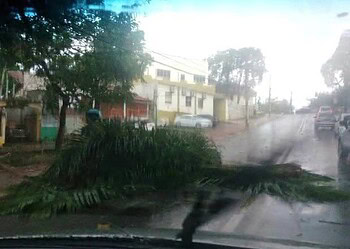 “Durante tempestades, o ideal é procurar abrigo”, alerta bombeiro