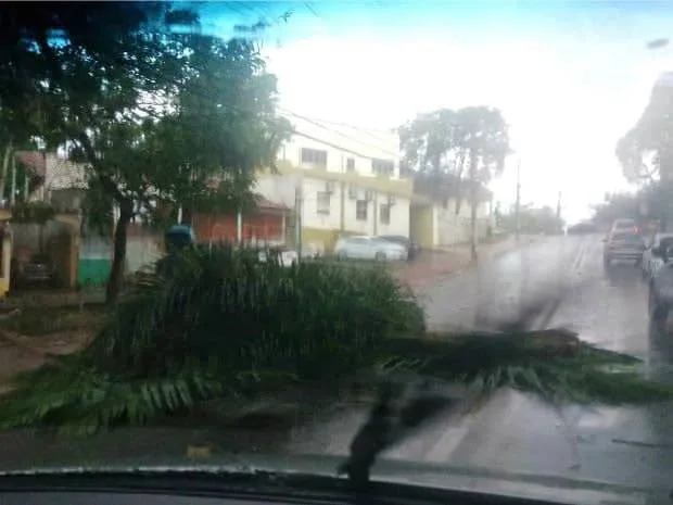 “Durante tempestades, o ideal é procurar abrigo”, alerta bombeiro 1 “Durante tempestades, o ideal é procurar abrigo”, alerta bombeiro