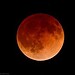 Eclipse total de ‘Super-Lua de Sangue’ acontece nos dias 27 e 28 de setembro 8 Eclipse total de ‘Super-Lua de Sangue’ acontece nos dias 27 e 28 de setembro