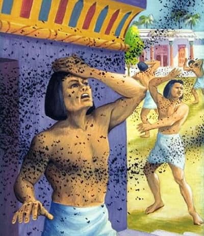 O preço do bom jornalismo 3 Brincar com comparações às pragas do Egito não foi uma boa ideia, há duas décadas atrás