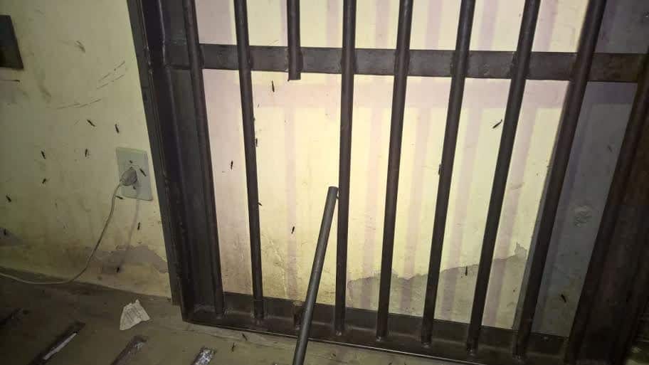 Por várias madrugadas, detentos cerravam e de manhã cobriam a parte serrada com sabão