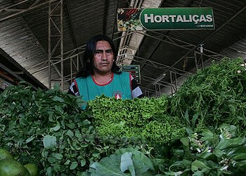 Alguns pequenos produtores faturam R$ 400 por semana com as vendas. (Foto Odair Leal/ A GAZETA)