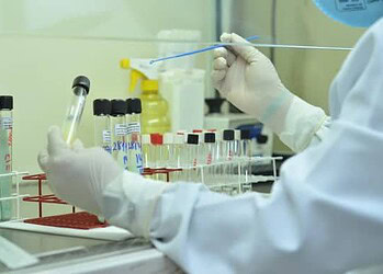 Casos suspeitos de chikungunya registrados em 2015 foram descartados por exames laboratoriais. (Foto:  Junior Aguiar / Sesacre)