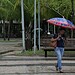 Céu nublado e chuva em todo Estado para essa sexta-feira, segundo Sipam