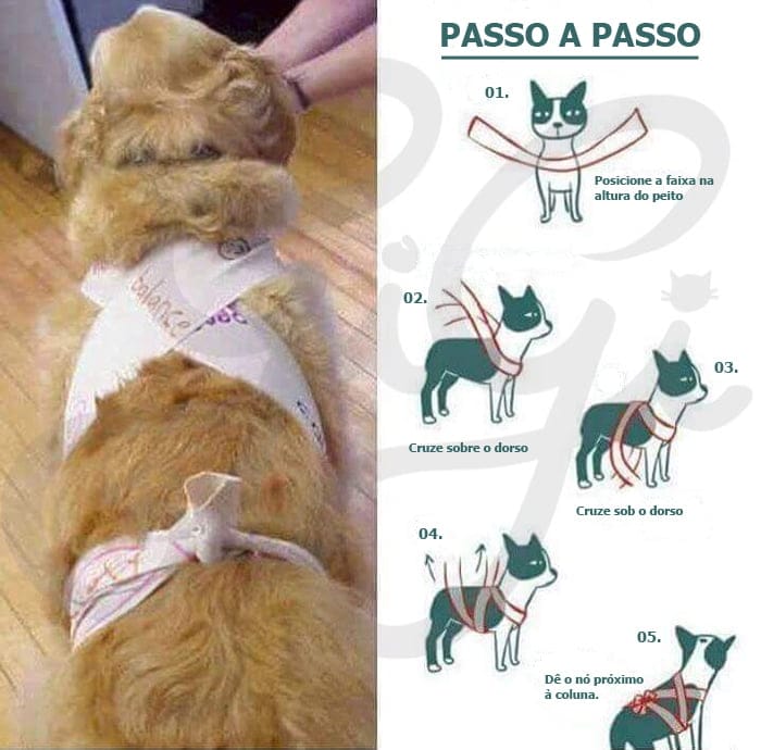 2.2 - TellingtonTouch - FOTO DIVULGAÇÃO