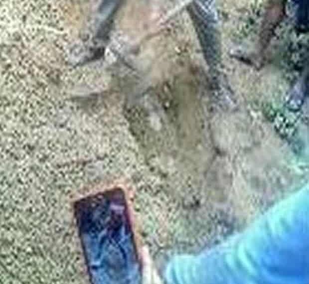 Corpo de homem é encontrado enterrado no Panorama