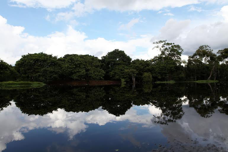 Economia verde e inclusão social são temas do Dia do Acre na COP 21