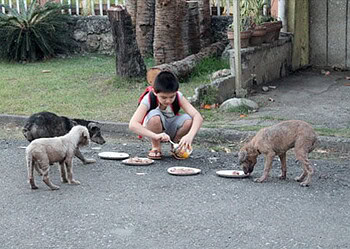 Patinha Carente realiza arrecadação de ração para animais