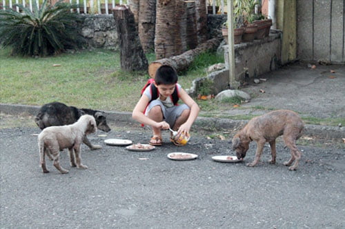 Patinha Carente realiza arrecadação de ração para animais