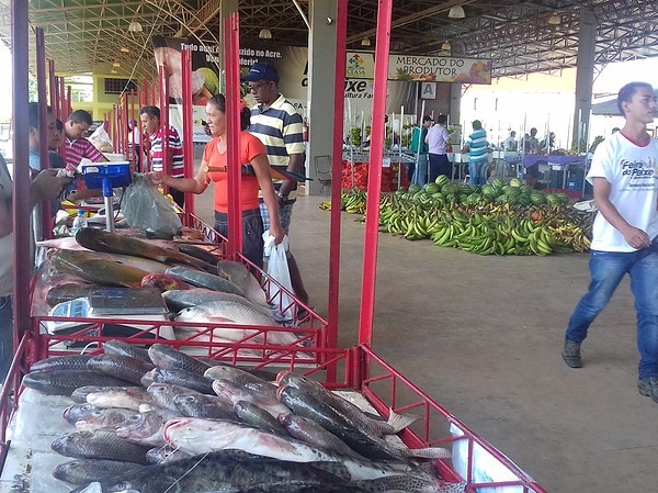 Em dois dias são comercializadas mais de seis toneladas de pescado no Ceasa