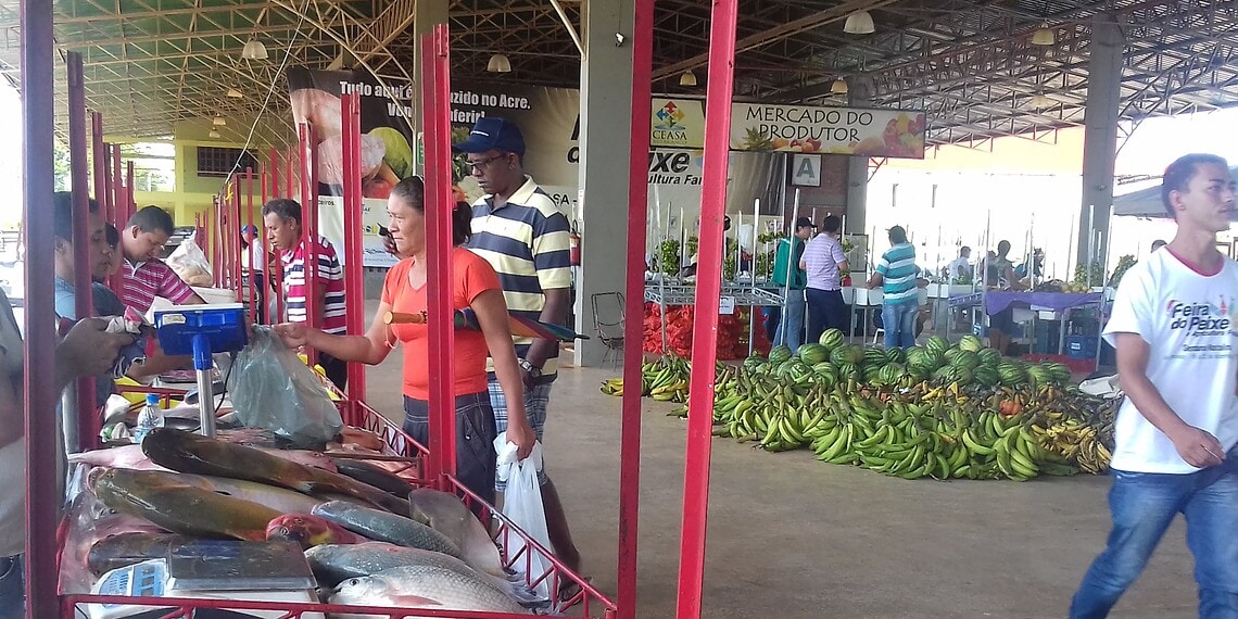 Em dois dias são comercializadas mais de seis toneladas de pescado no Ceasa