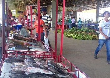 Em dois dias são comercializadas mais de seis toneladas de pescado no Ceasa