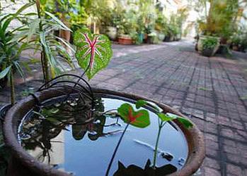 Manter reservatórios fechados é imprescindível para que não haja proliferação do mosquito Aedes aegypti (Foto: Arquivo)