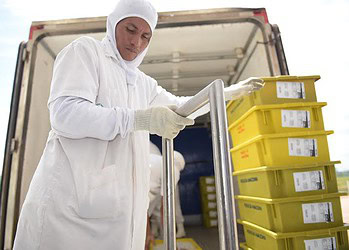 Peixes da Amazônia envia última carga do ano para São Paulo
