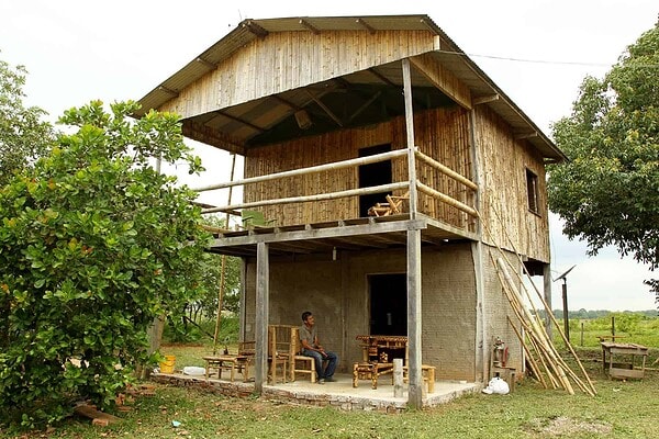Acre possui maior floresta nativa de bambu do mundo
