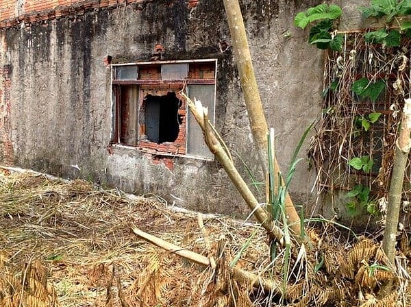 Criminosos invadem distribuidora e levam dois caminhões em Rio Branco