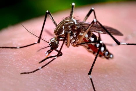 Exames para detecção de chikungunya e dengue passam a ter cobertura obrigatória