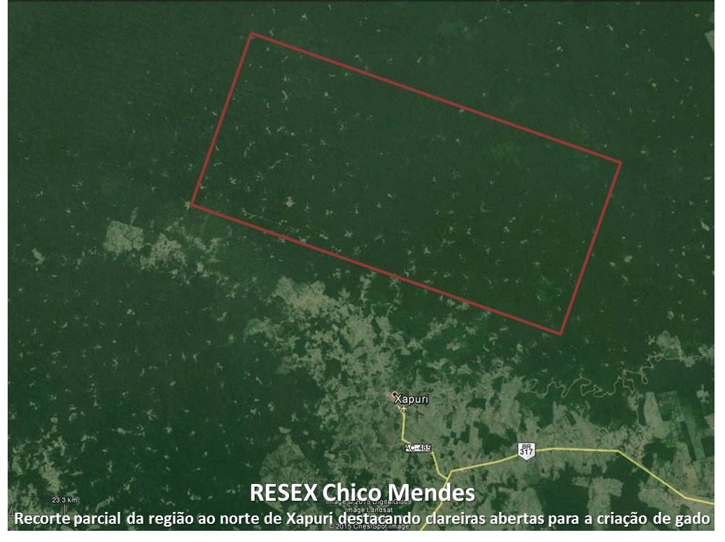 fig resex chico mendes