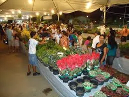 Festival de Flores de Holambra acontece em Rio Branco pela segunda vez