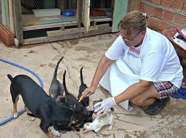 “Eu queria que salvassem essas vidas. Caso contrário, todos esses animais vão morrer”, lamentou Maura Akino